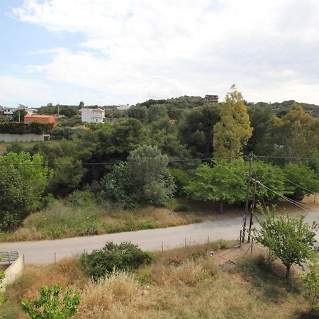 Filoxenia Apartment Артеміда Екстер'єр фото